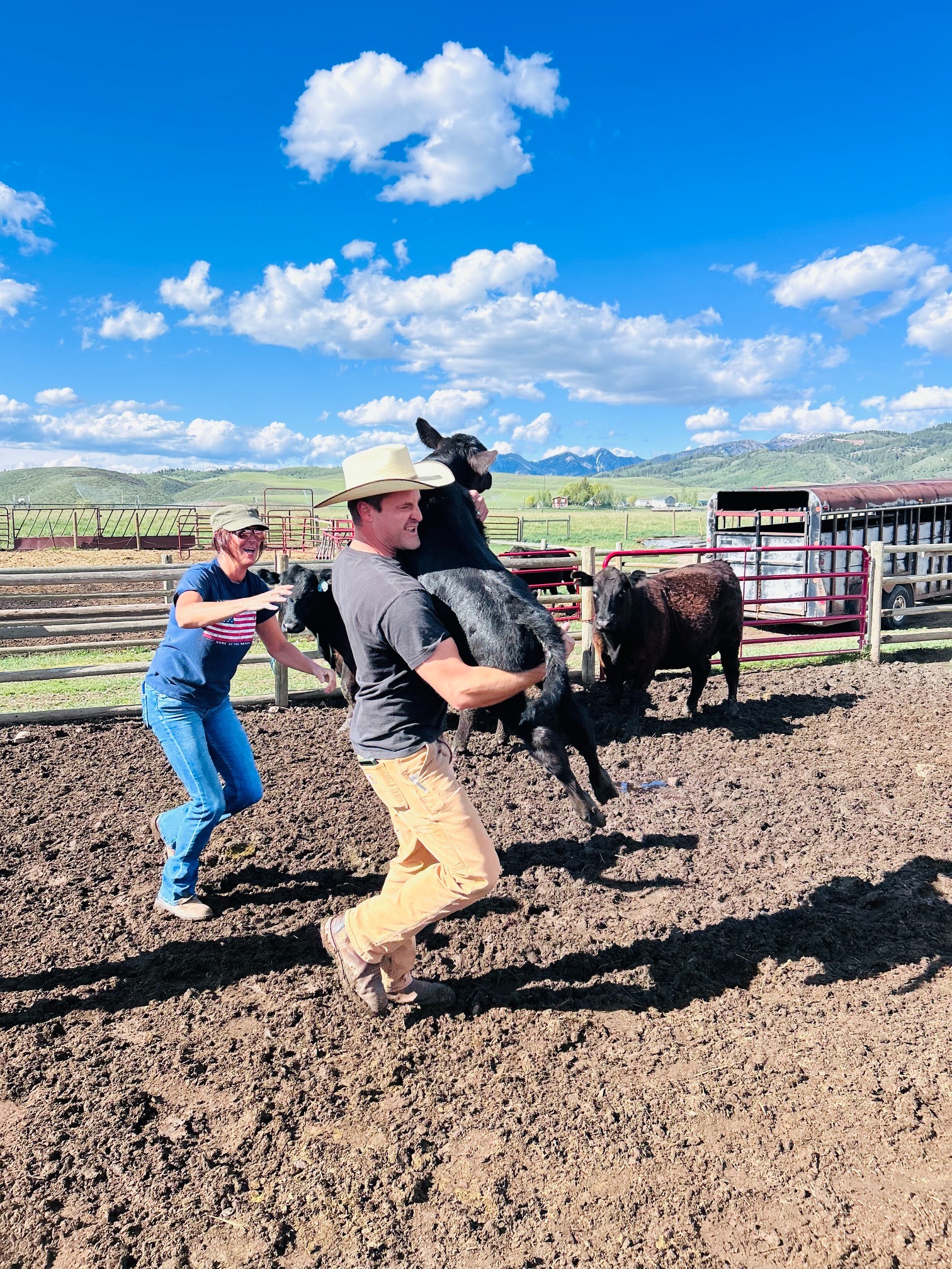 Dylan Todd handling cattle on a Wyoming ranch