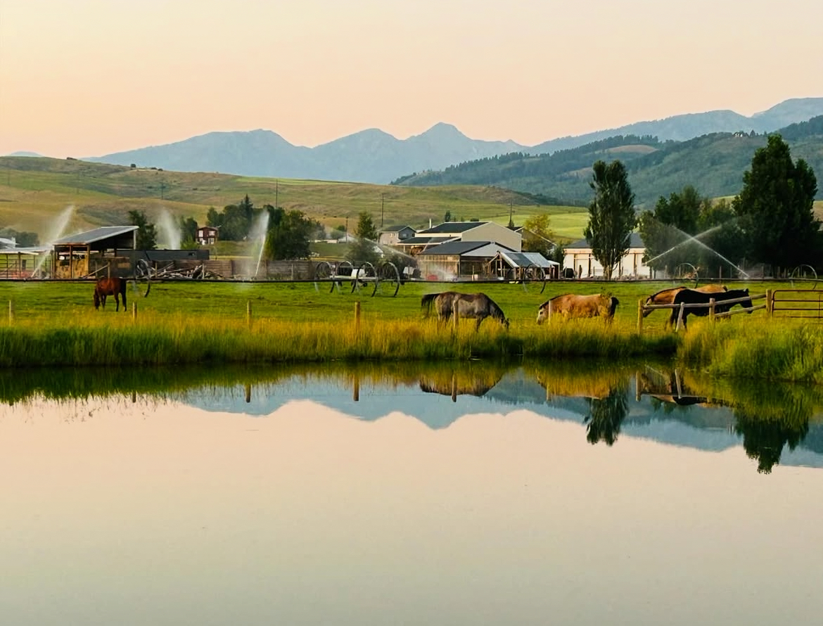 Horses grazing beside a reflective pond near Star Valley & Jackson, Wyoming